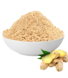 Ginger Dried Powder
